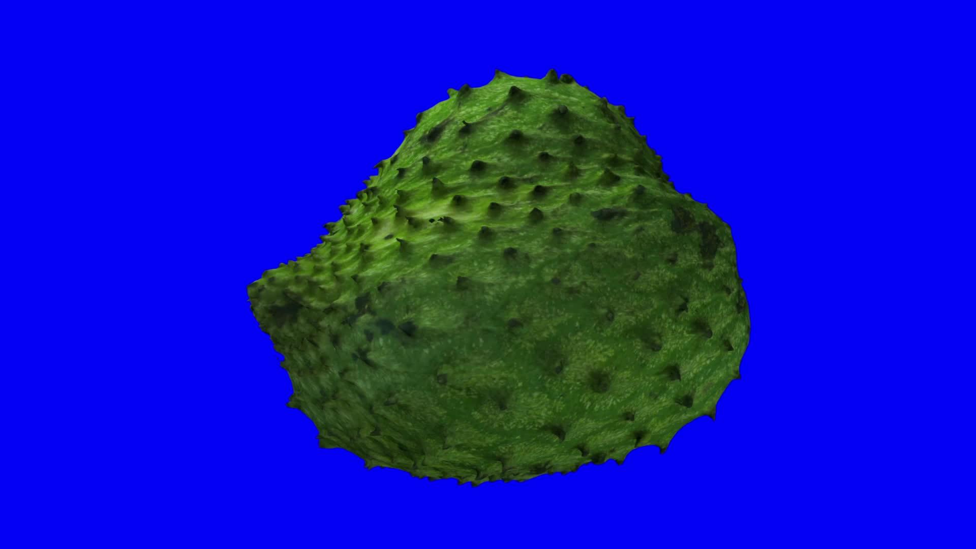 在蓝色背景上旋转soursopgraviola02视频的预览图