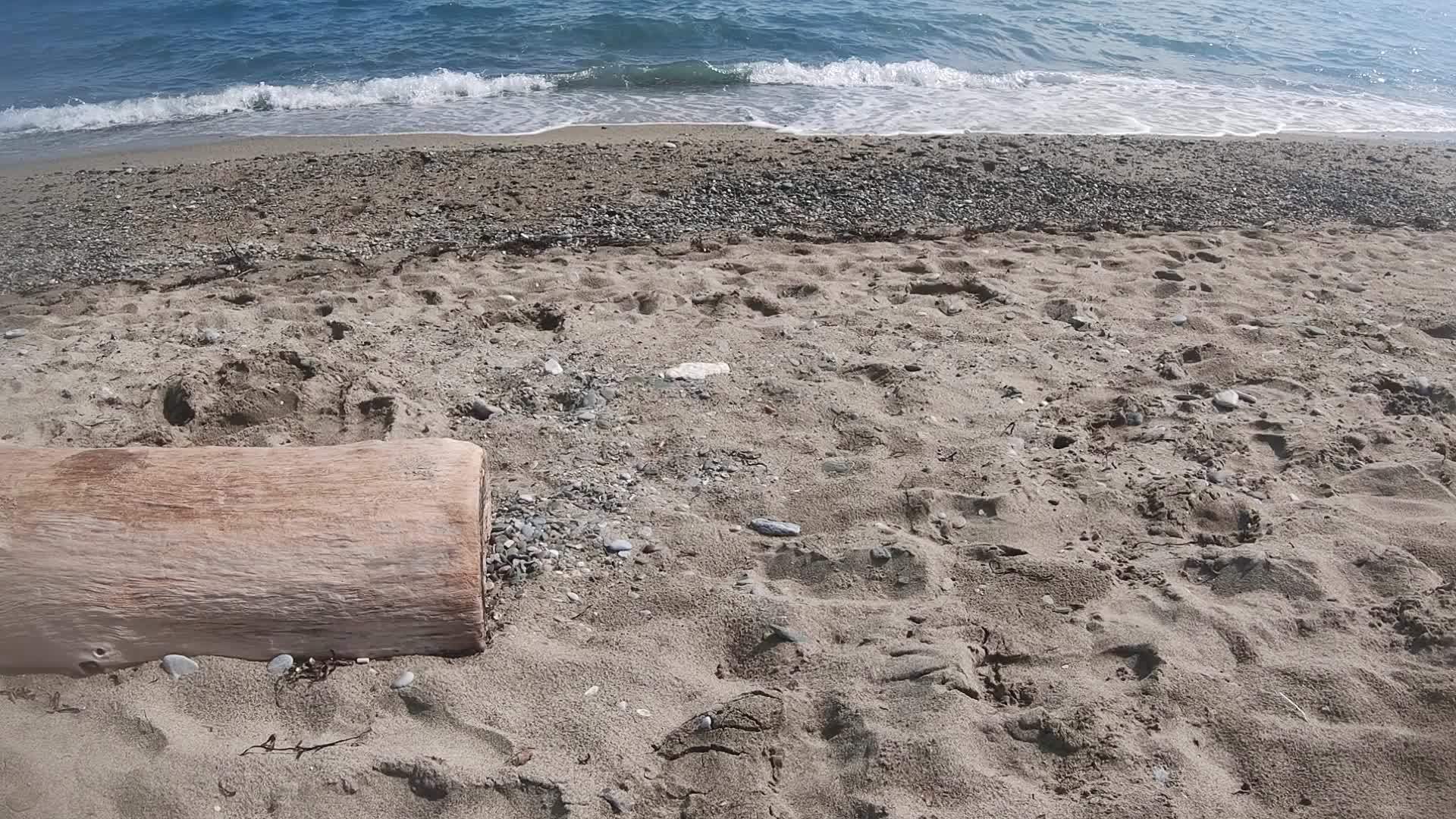 上海的海浪在热带海滩的后备箱里与岸上的慢动作相撞视频的预览图
