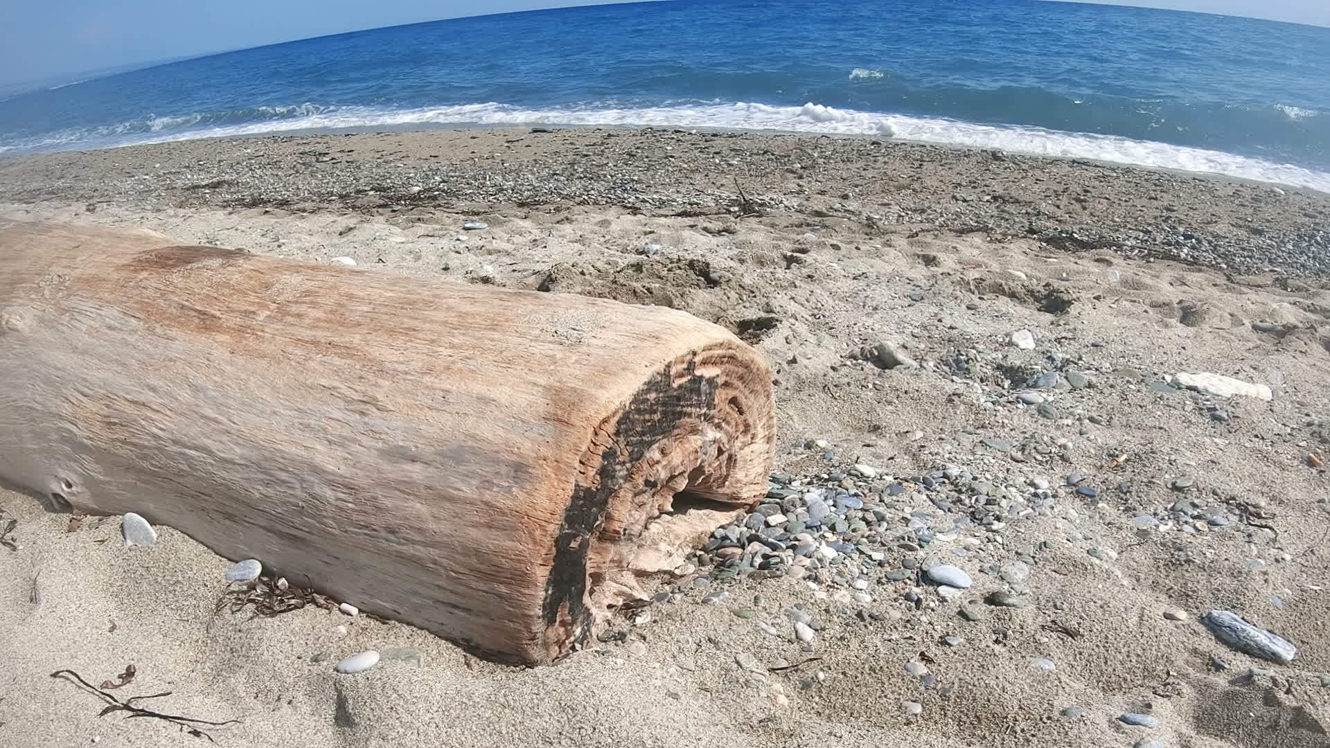 海滩树干前坠落的波浪缓慢移动视频的预览图