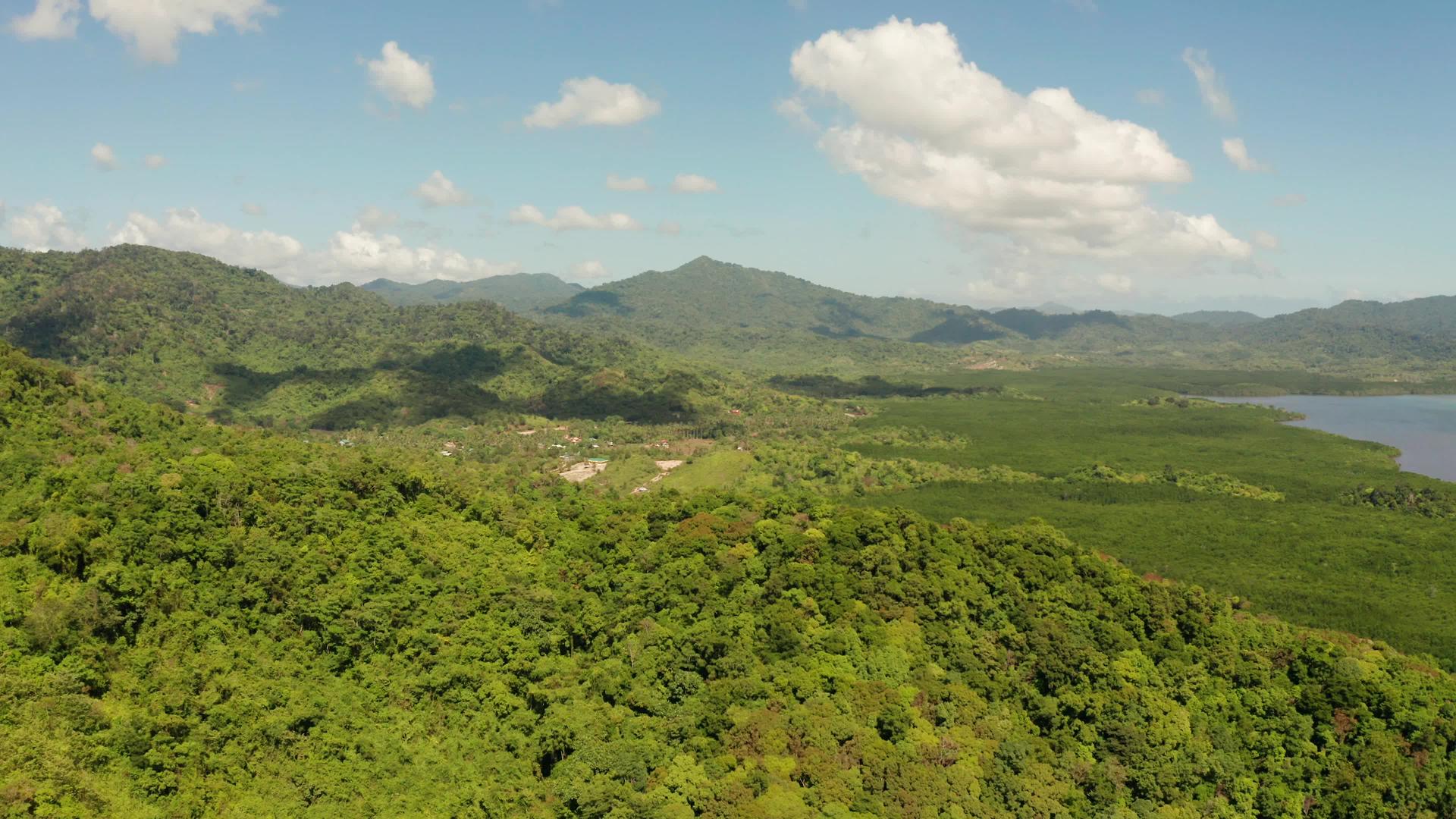 热带森林和山区古拉旺菲律宾视频的预览图