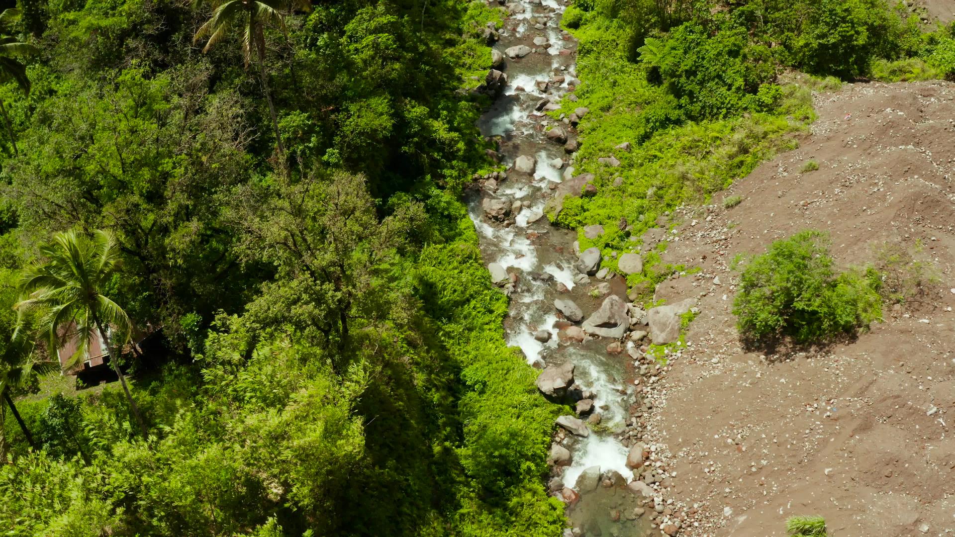 菲利平斯河黑猩猩河流淌在山林中视频的预览图