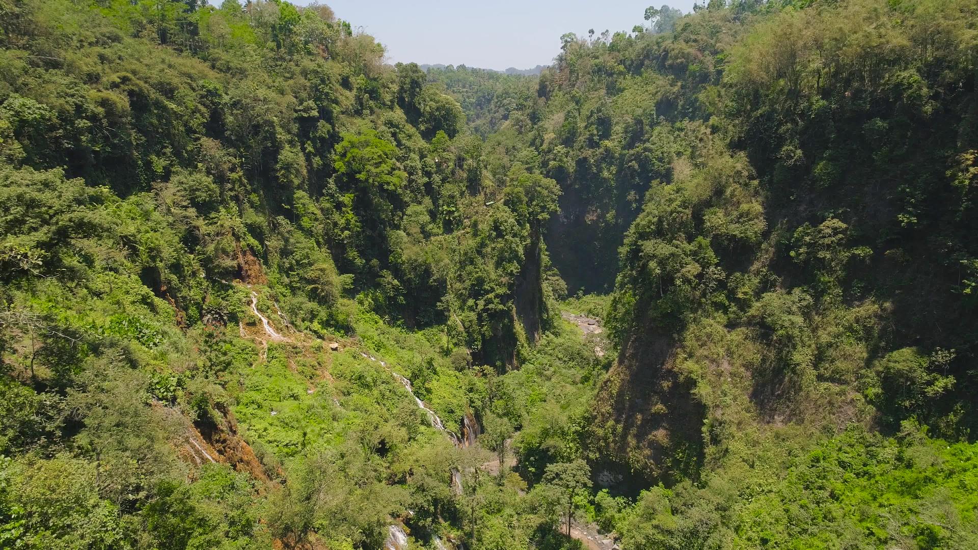 热带雨林和瀑布热带景观视频的预览图