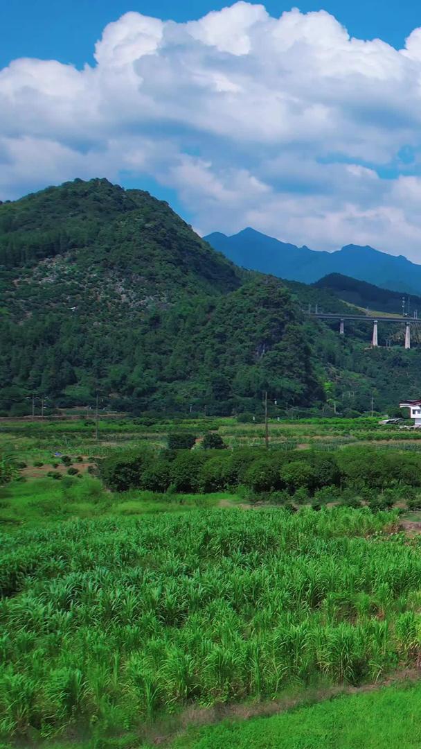蓝天白云中国基建高铁高架桥轨道动车行驶中航拍视频的预览图
