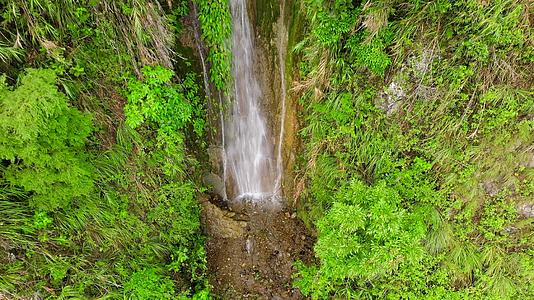 一串水从丛林的悬崖上流出菲利平斯的瀑布视频的预览图