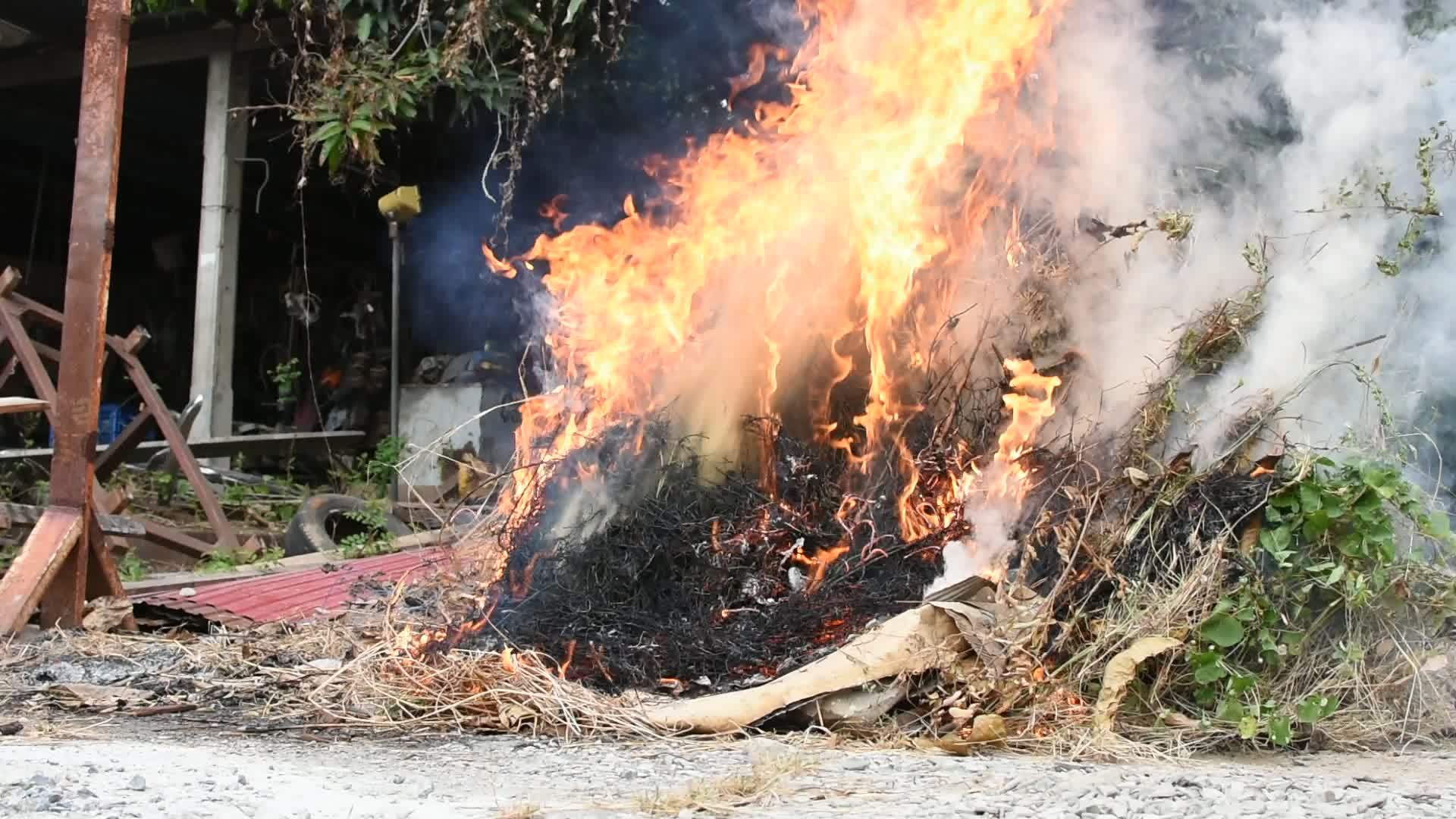 燃烧的干叶视频的预览图