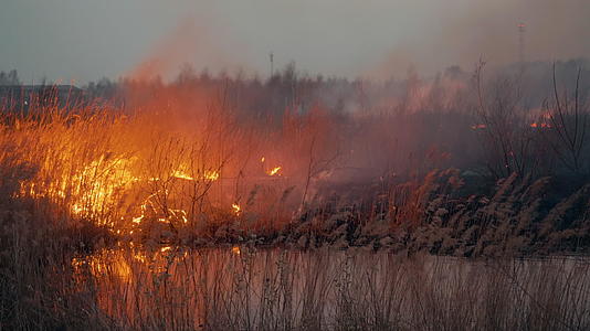 森林火灾时在田野里烧草在火焰和烟雾中烧草在旱季燃烧视频的预览图