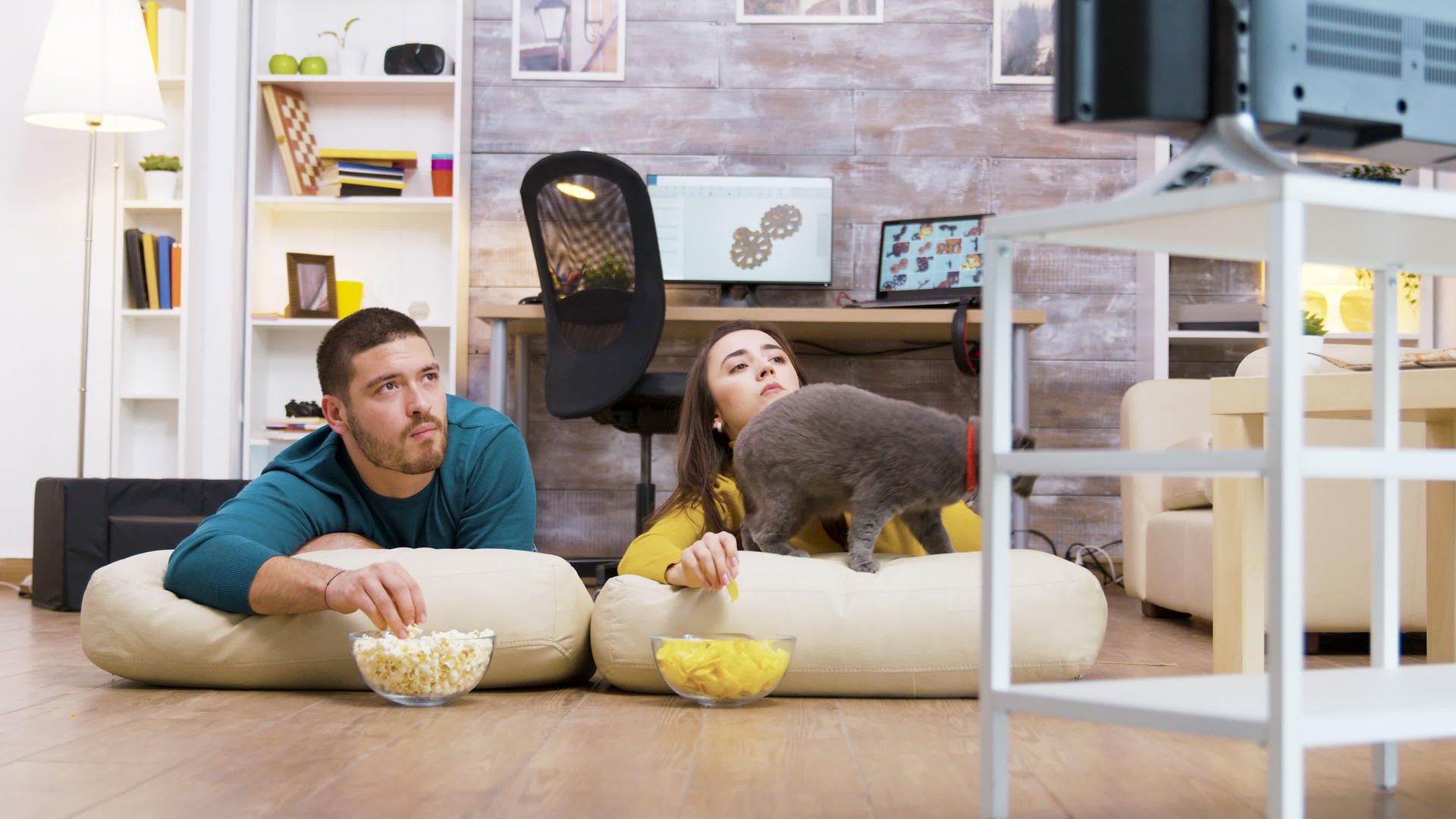 年轻夫妇用猫看电视视频的预览图