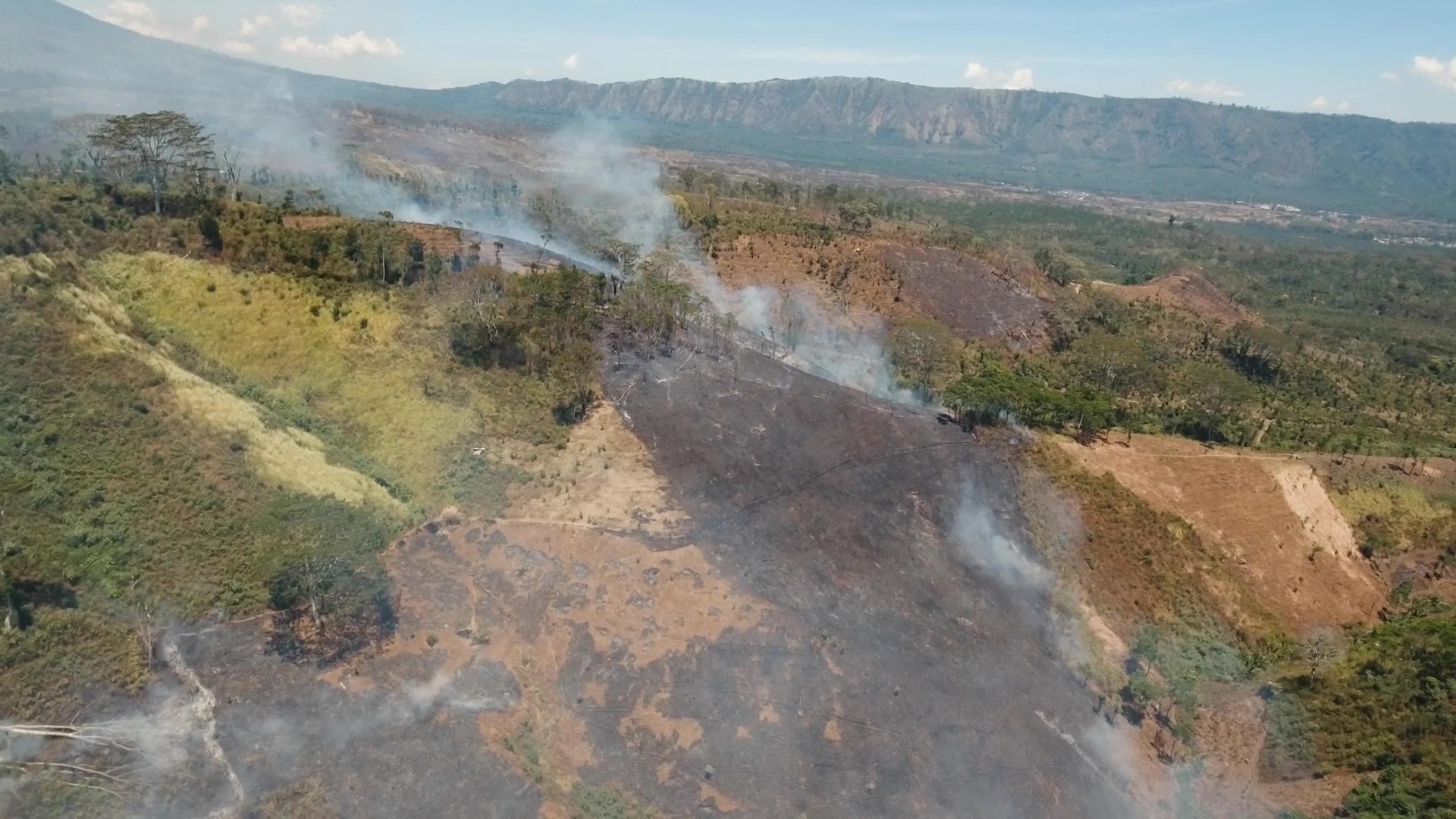 看到下巴岛的森林火灾视频的预览图