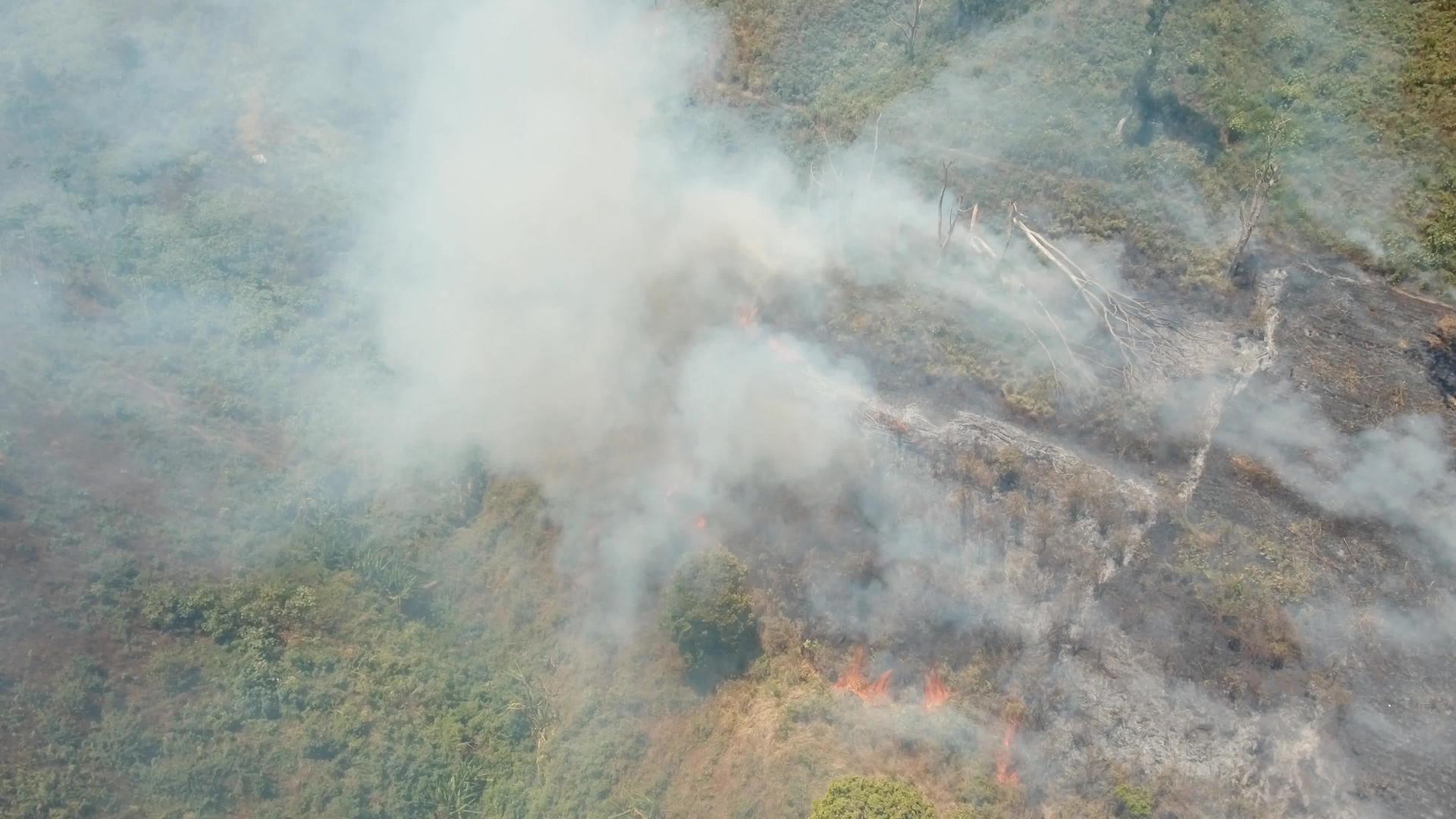看到下巴岛的森林火灾视频的预览图