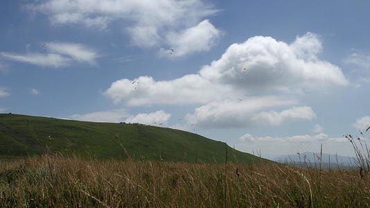 许多滑翔伞在天空中飞行视频的预览图