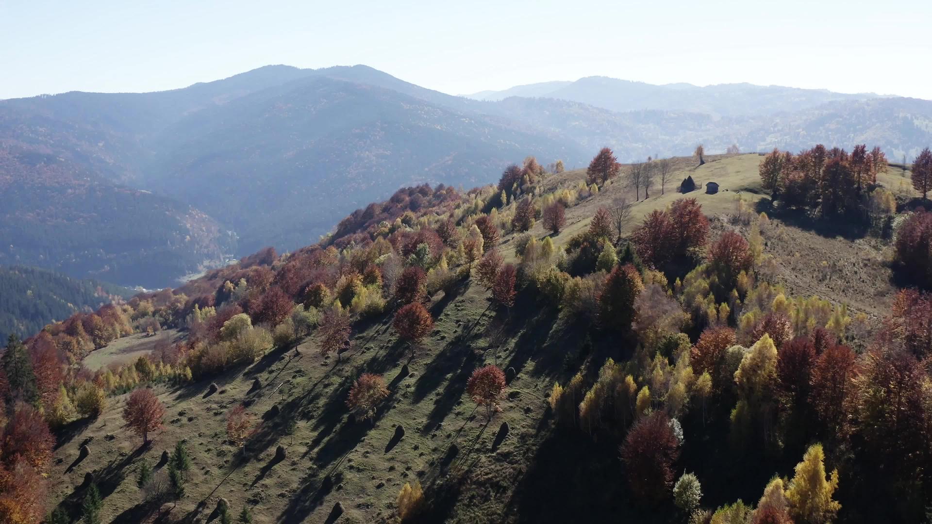 飞过美丽多彩的秋树和山上堆肥的干草视频的预览图
