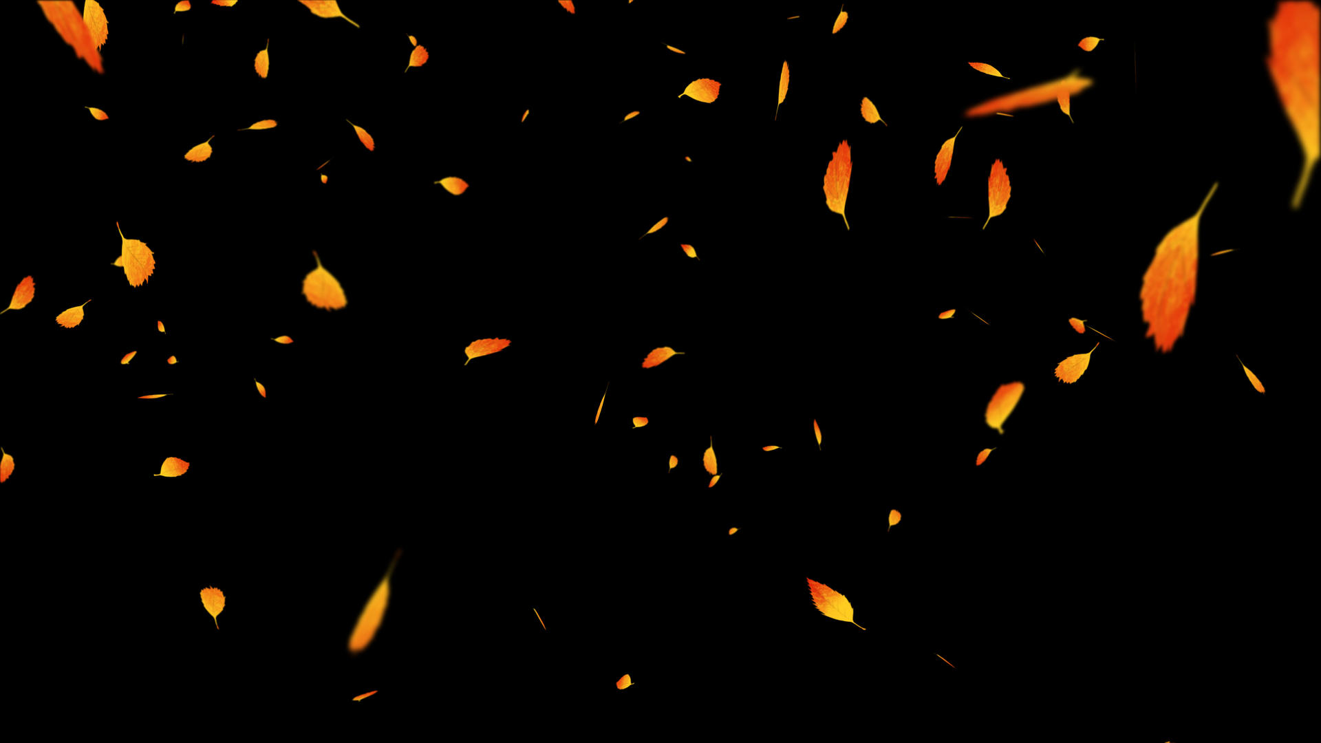 4K枫叶粒子落叶飘落元素视频的预览图