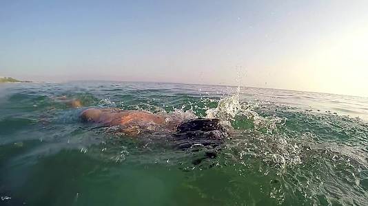 运动男子在前面游泳在马拉松上爬行与太阳相对然后拍摄慢动作视频的预览图