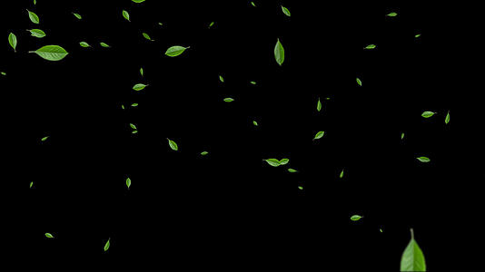 4K绿叶粒子飘落元素视频的预览图