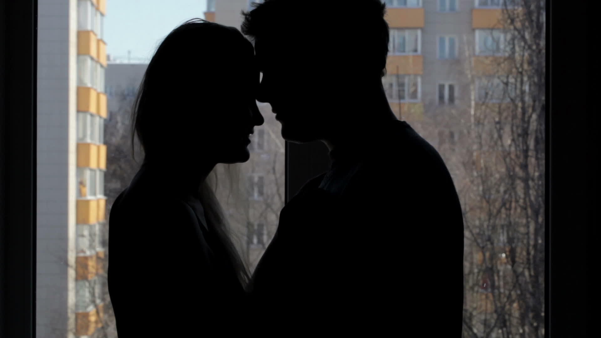 两对恋人拥抱双影视频的预览图