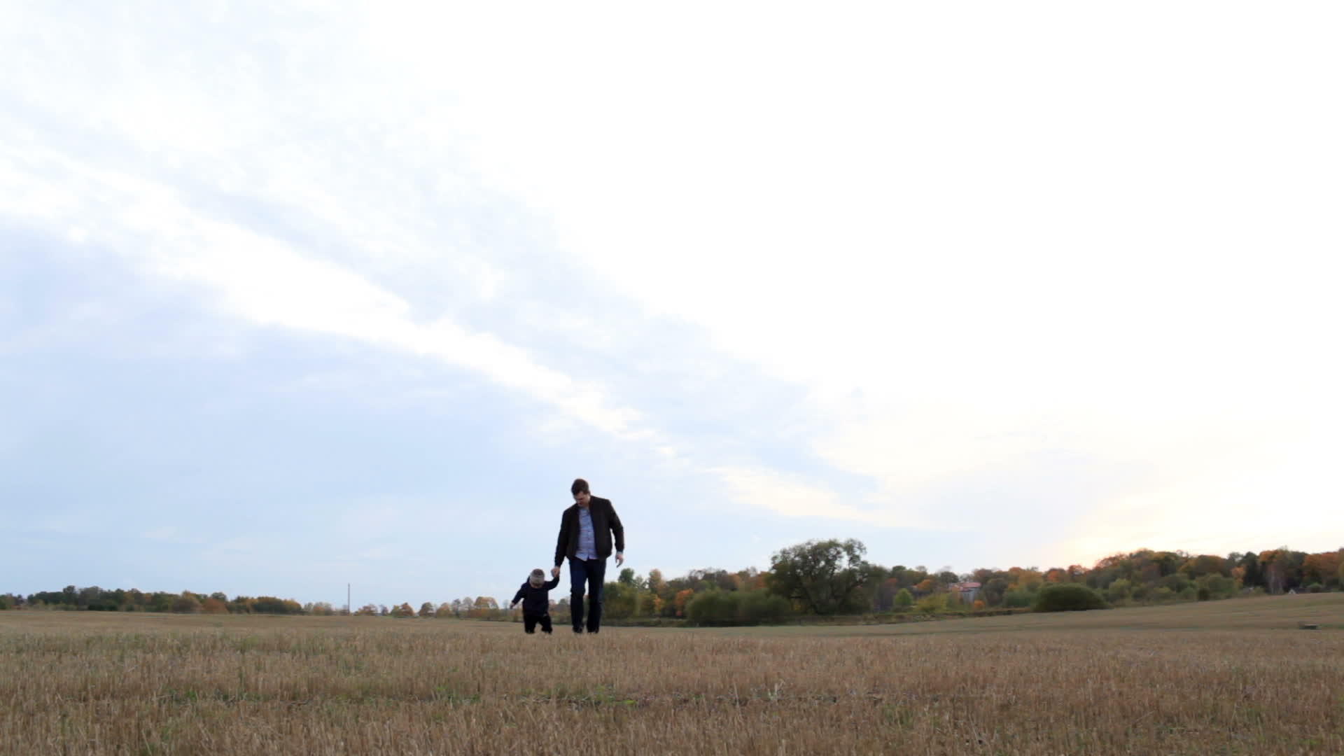 年幼的父亲和儿子在田野里散步视频的预览图