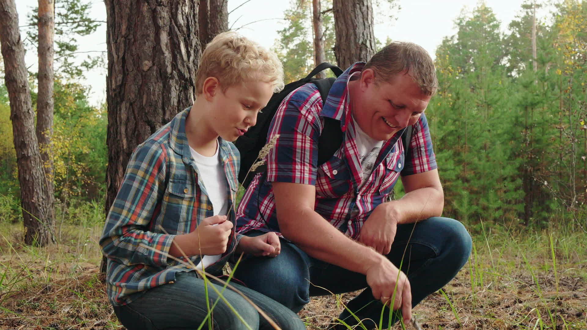 父亲和儿子在夏天远足时在松树林度过周末视频的预览图