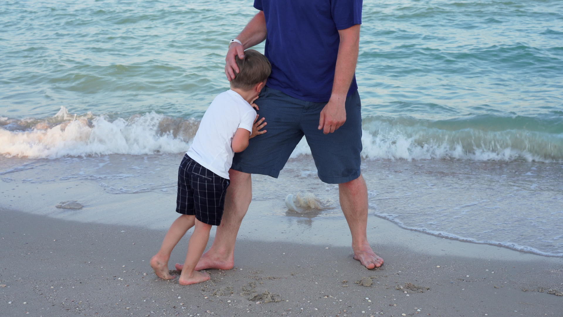 父亲牵着儿子的手父亲和孩子一起度过了海上假期视频的预览图