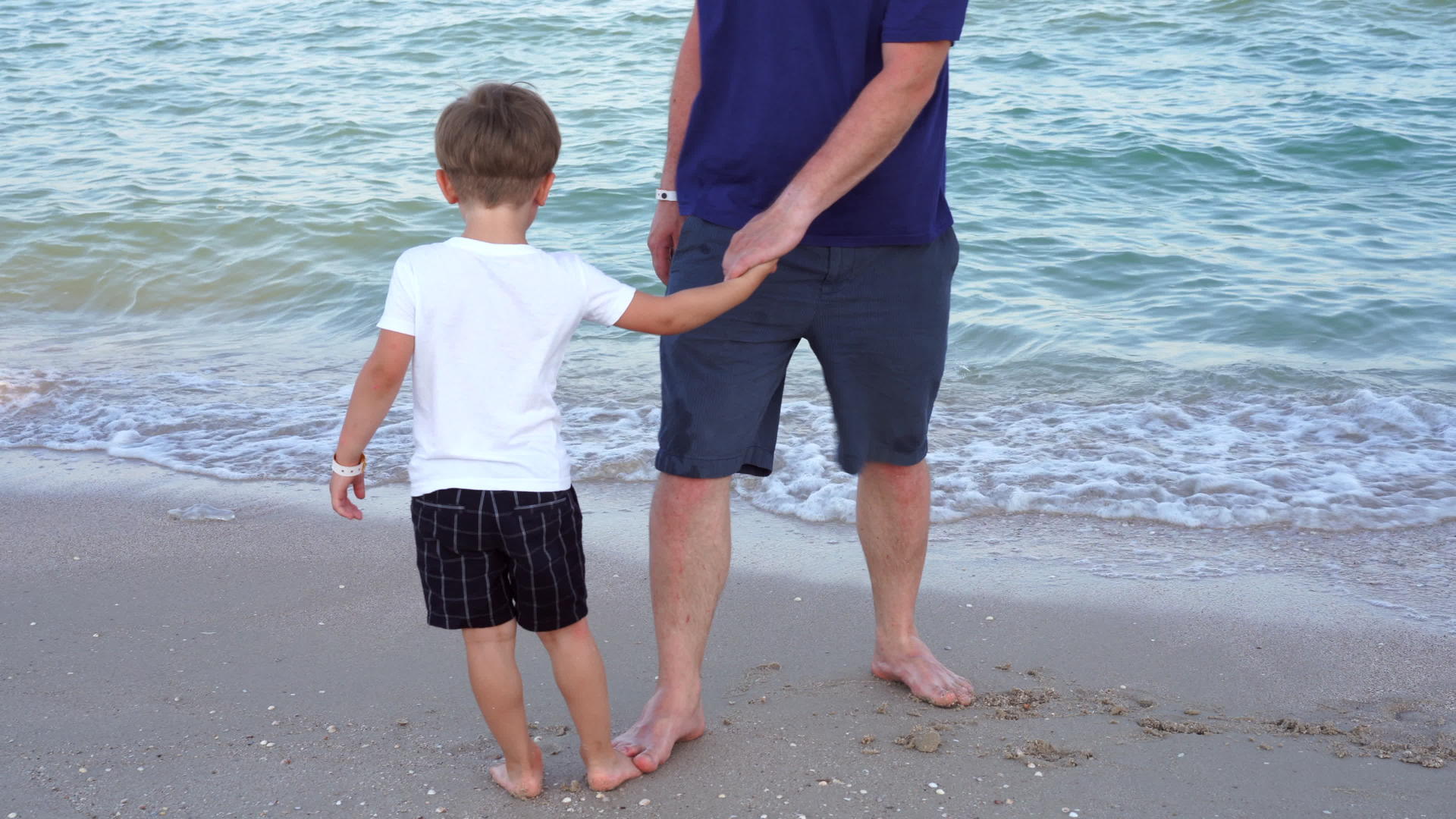 父亲牵着儿子的手父亲和孩子一起度过了海上假期视频的预览图