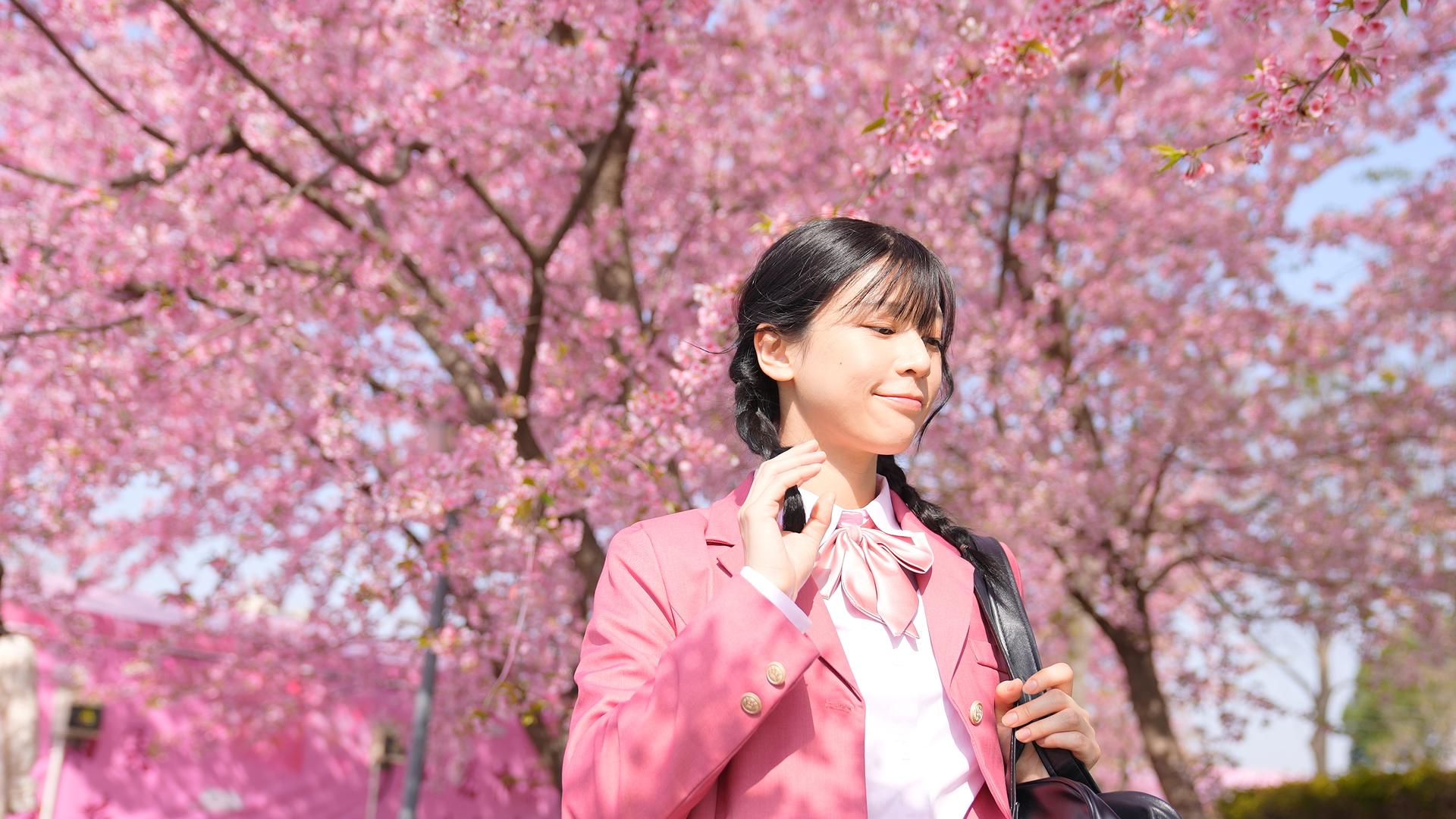 粉红色樱花树下的制服少女视频的预览图