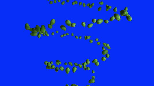avocado水果以螺旋形无缝飞行环绕蓝屏染色体视频的预览图