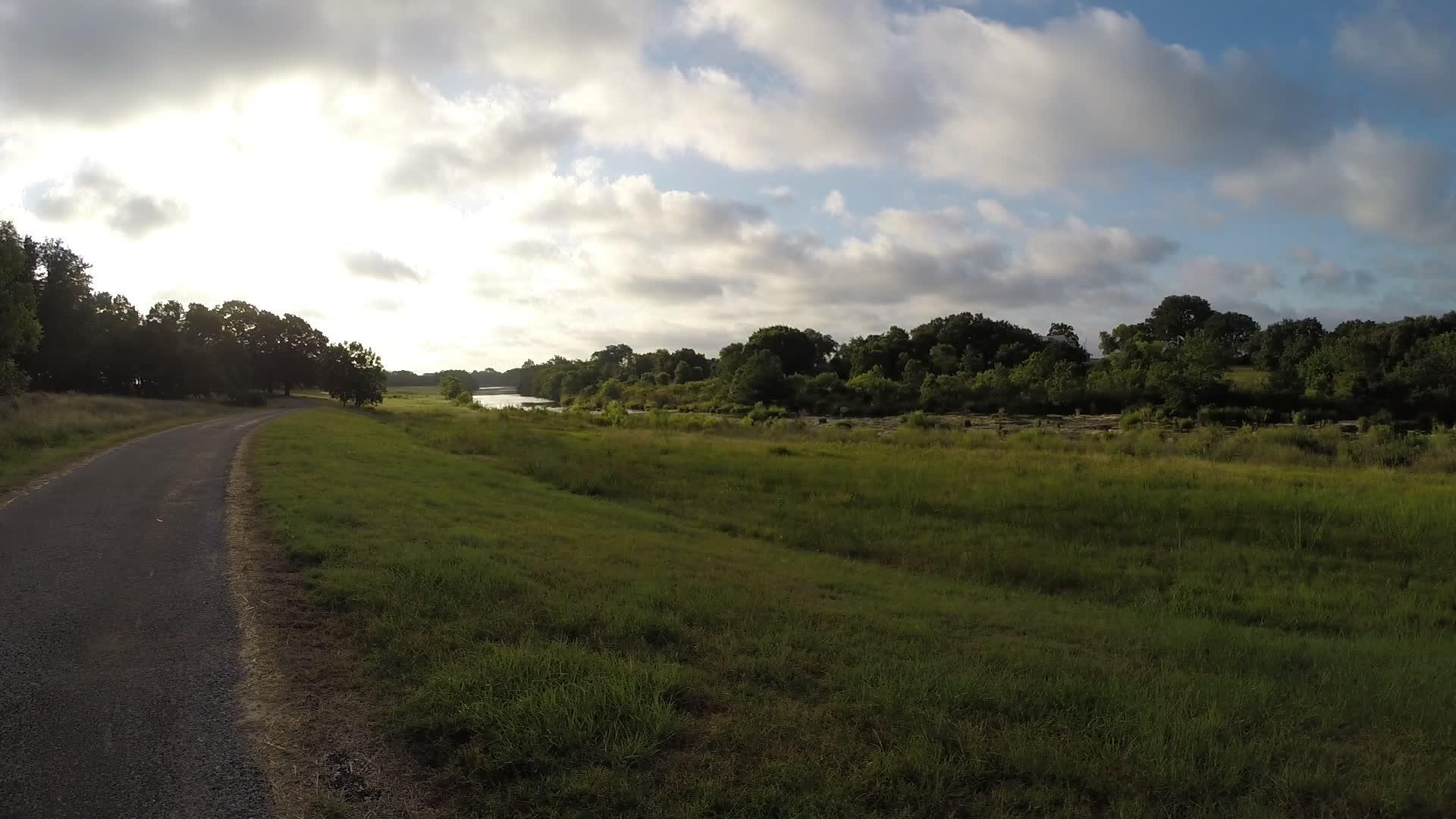 牧草从太阳升起视频的预览图