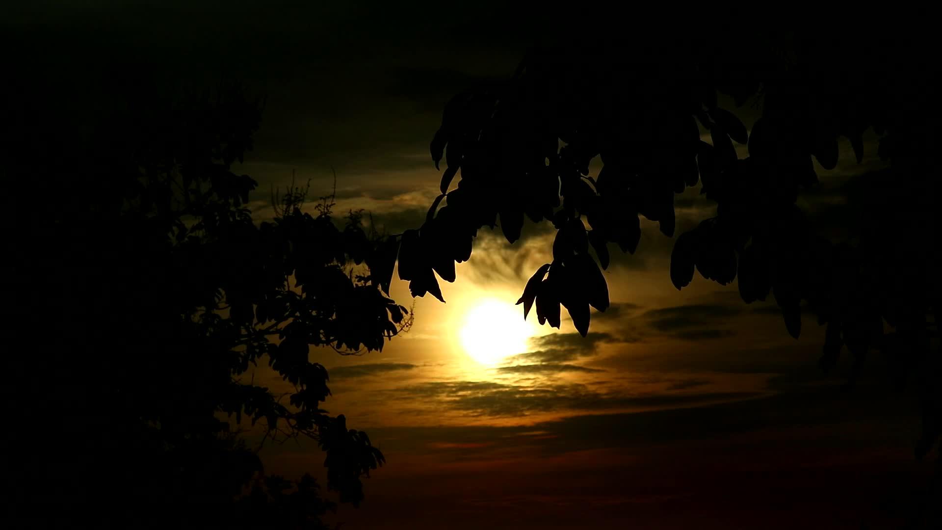 模糊的月亮黄色的天空影子叶子和云移动1视频的预览图