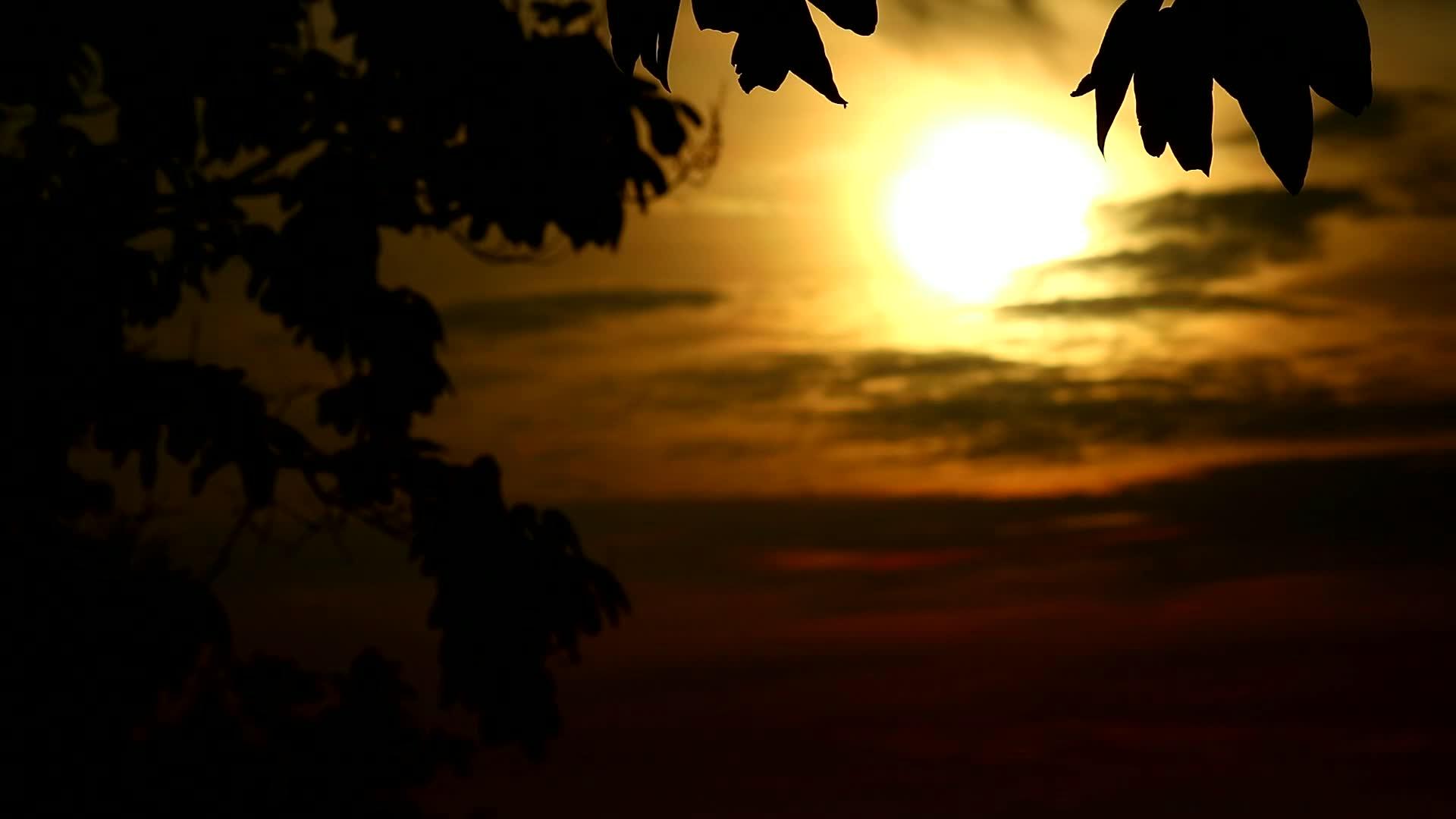 模糊的月亮黄色天空环绕着树叶和云朵视频的预览图