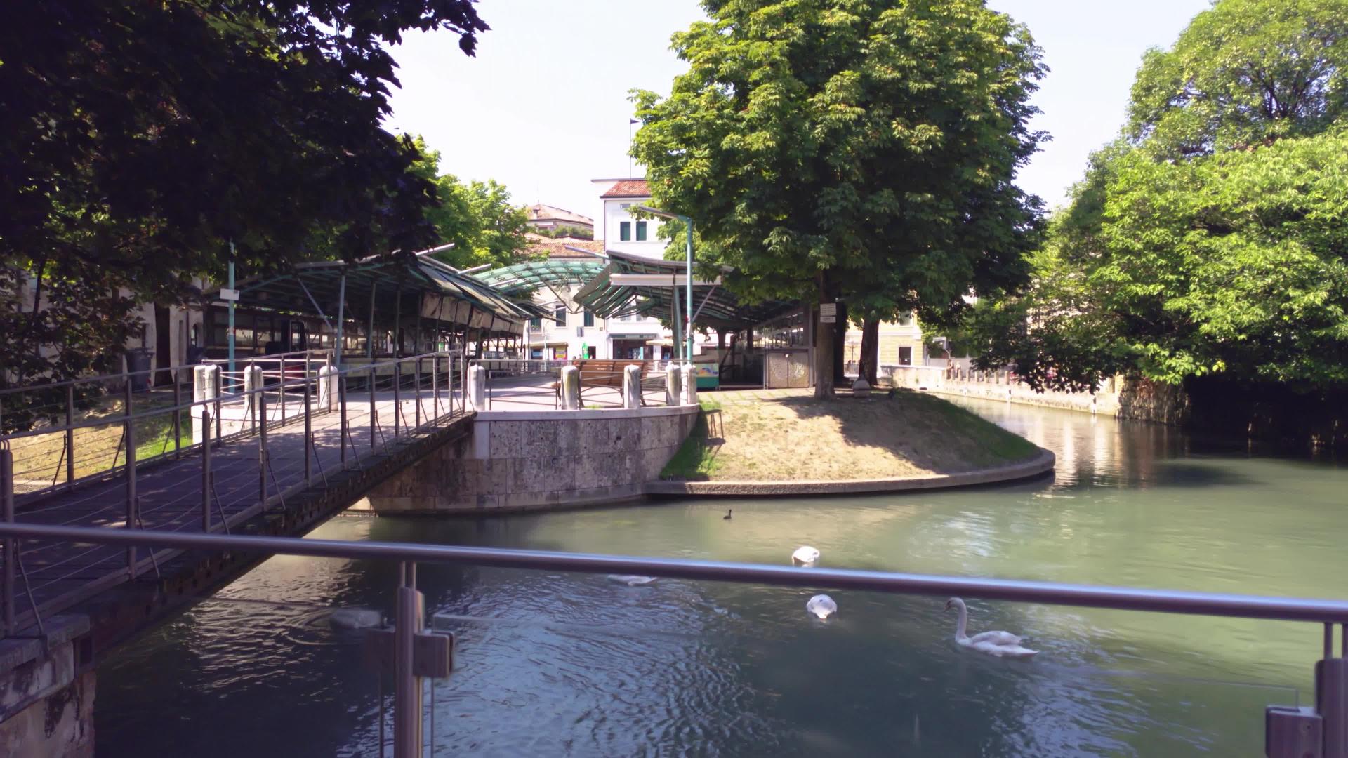 在意大利语中Treviso6中视频的预览图