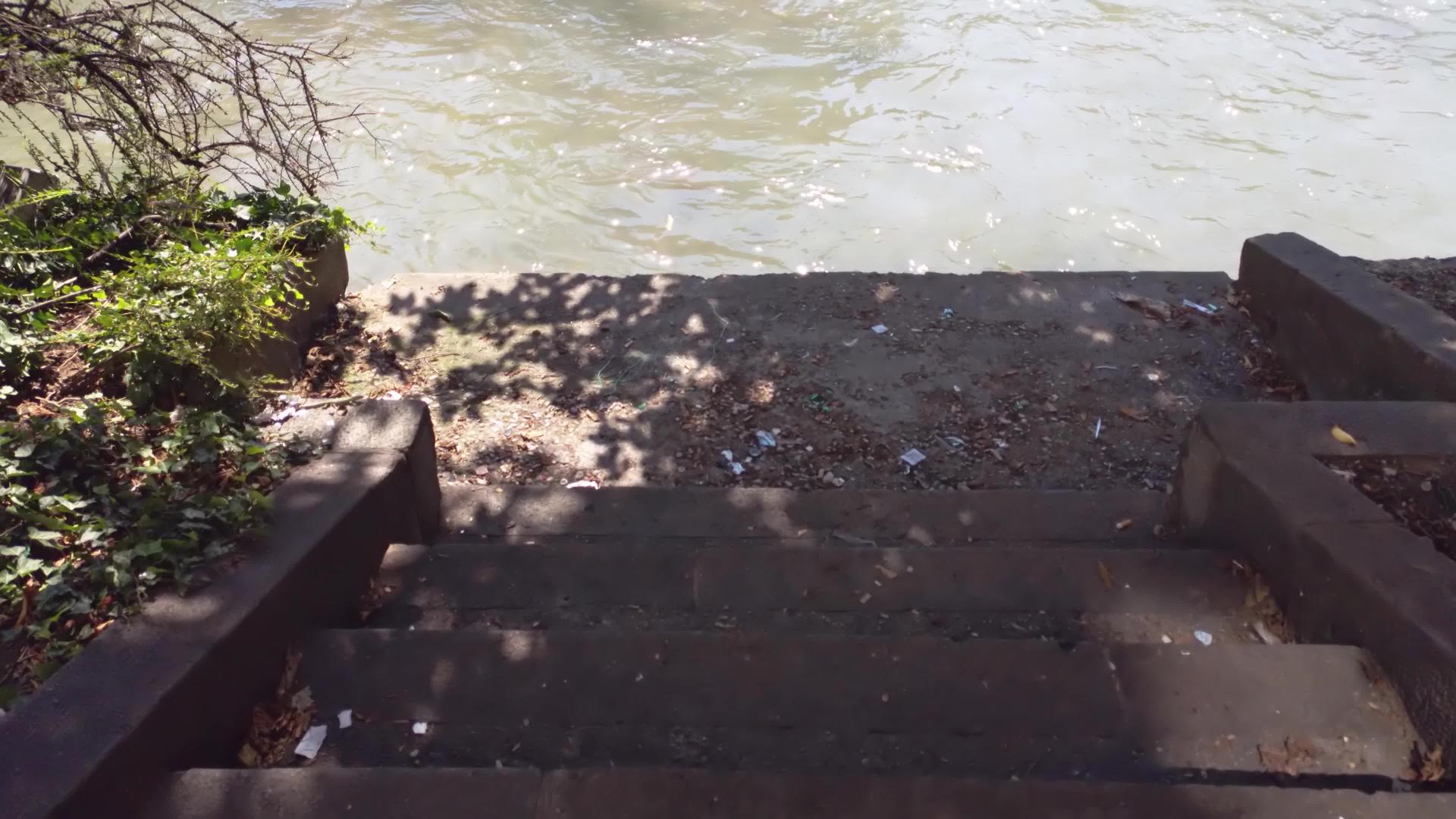 乌兰内利河底栖生物5视频的预览图
