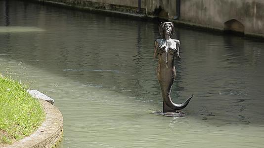美人鱼雕像视频的预览图