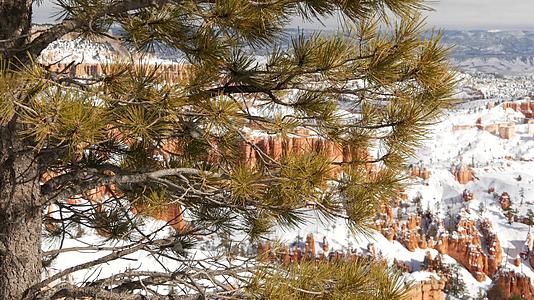 冬天的布莱斯峡谷在美国犹他州的雪圆剧场里是不祥的视频的预览图