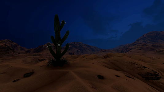 在沙漠中大日出的时空结束前有一个仙人掌的光影视频的预览图