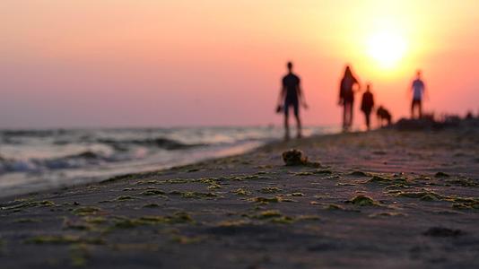 日落时两个人和一只狗在海岸上行走视频的预览图