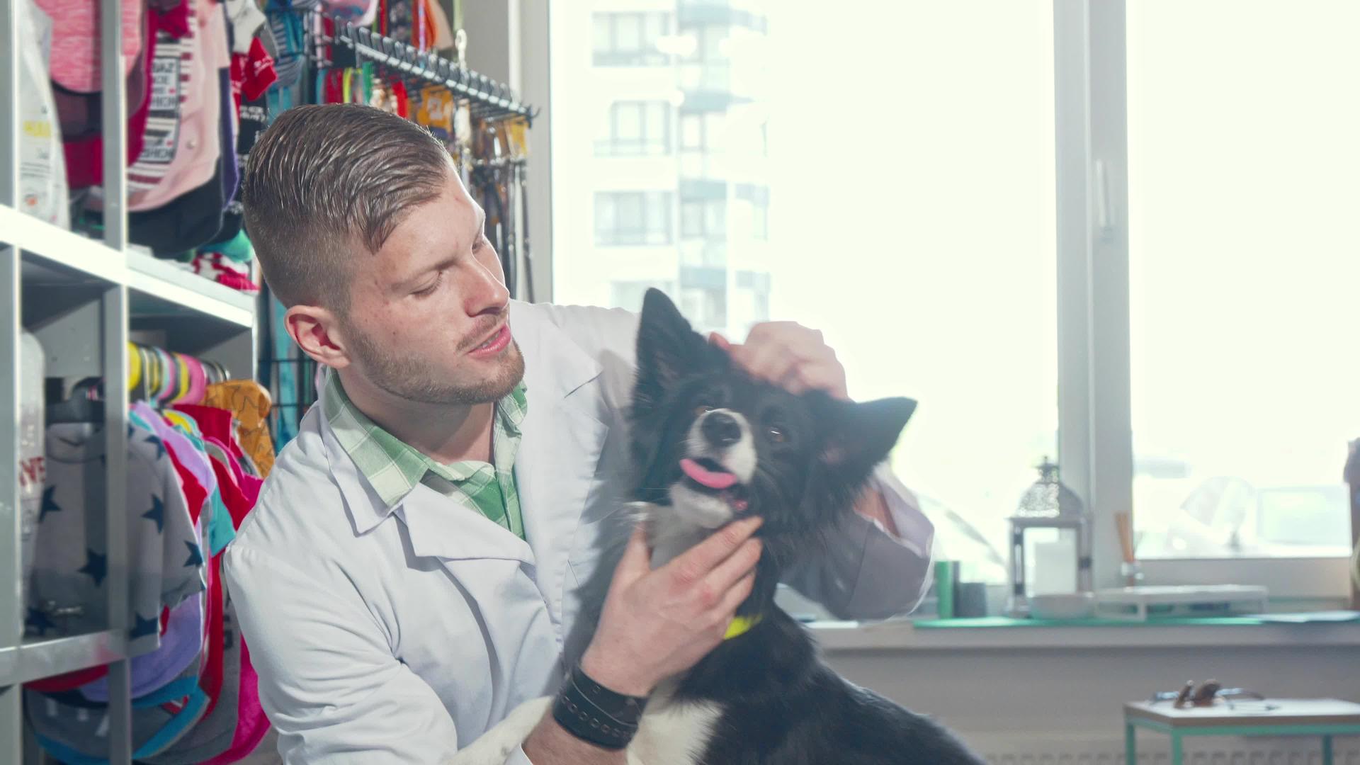 英俊、英俊、快乐的男兽医对着镜头微笑拥抱着可爱的狗视频的预览图