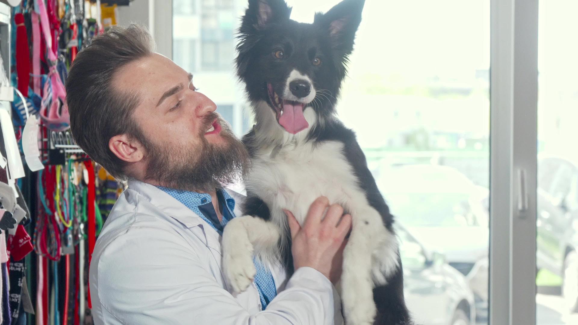 在他的诊所里可爱的狗非常高兴留着胡子的兽医视频的预览图