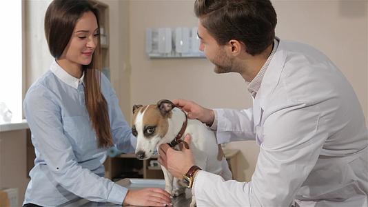 男兽医问女人关于她的宠物视频的预览图