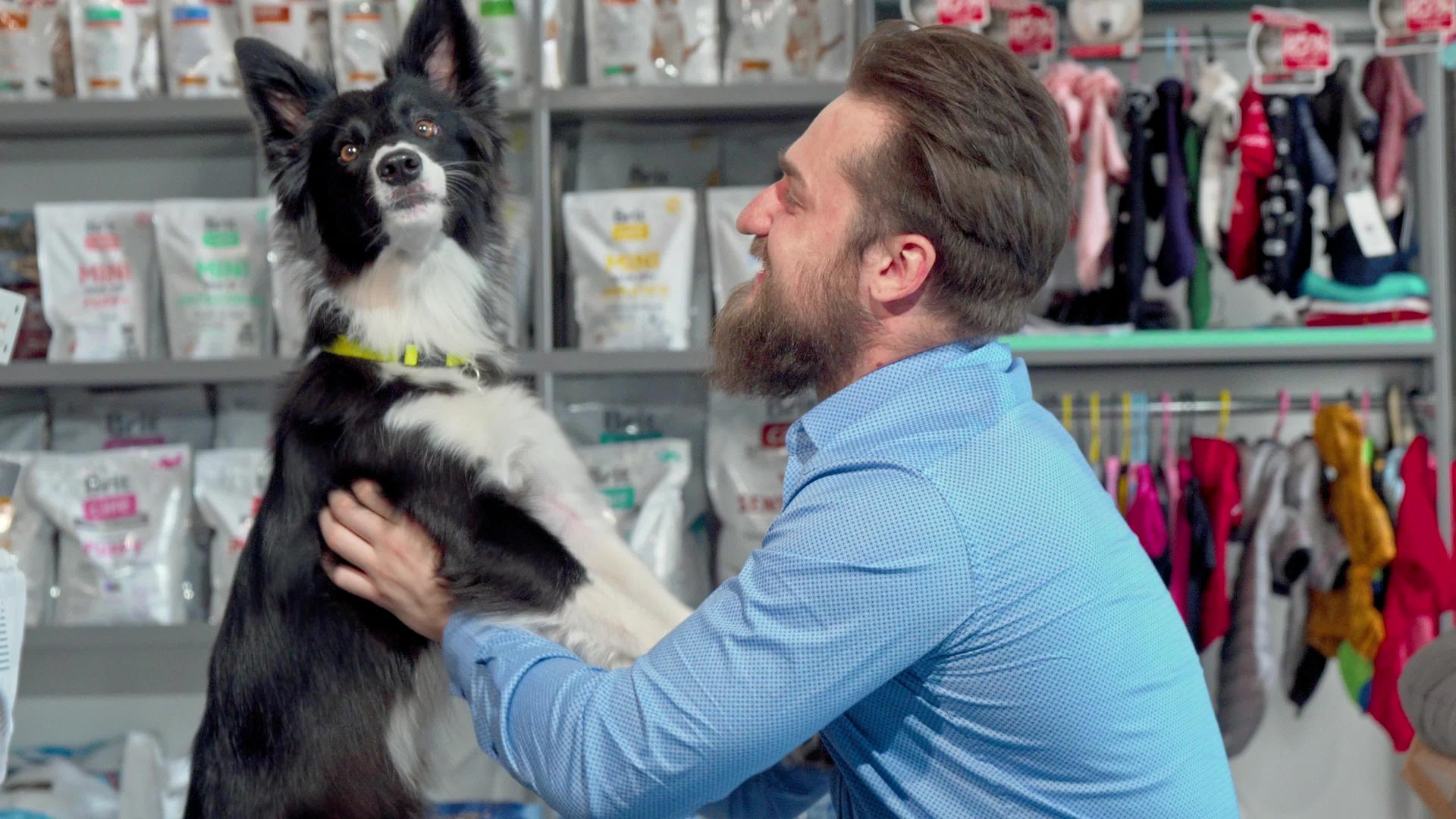 快乐的胡子男子在兽医办公室玩狗视频的预览图