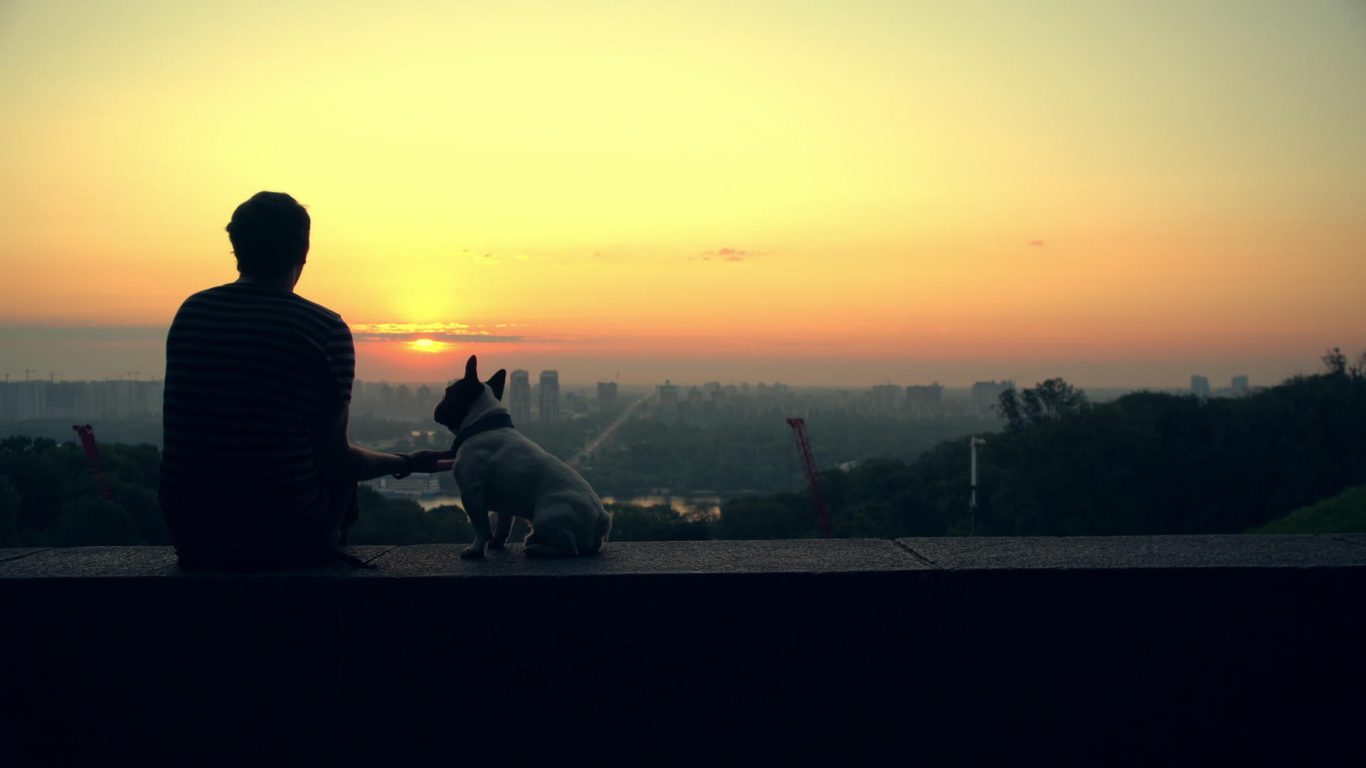 一个男人在看日落时和他的狗玩视频的预览图
