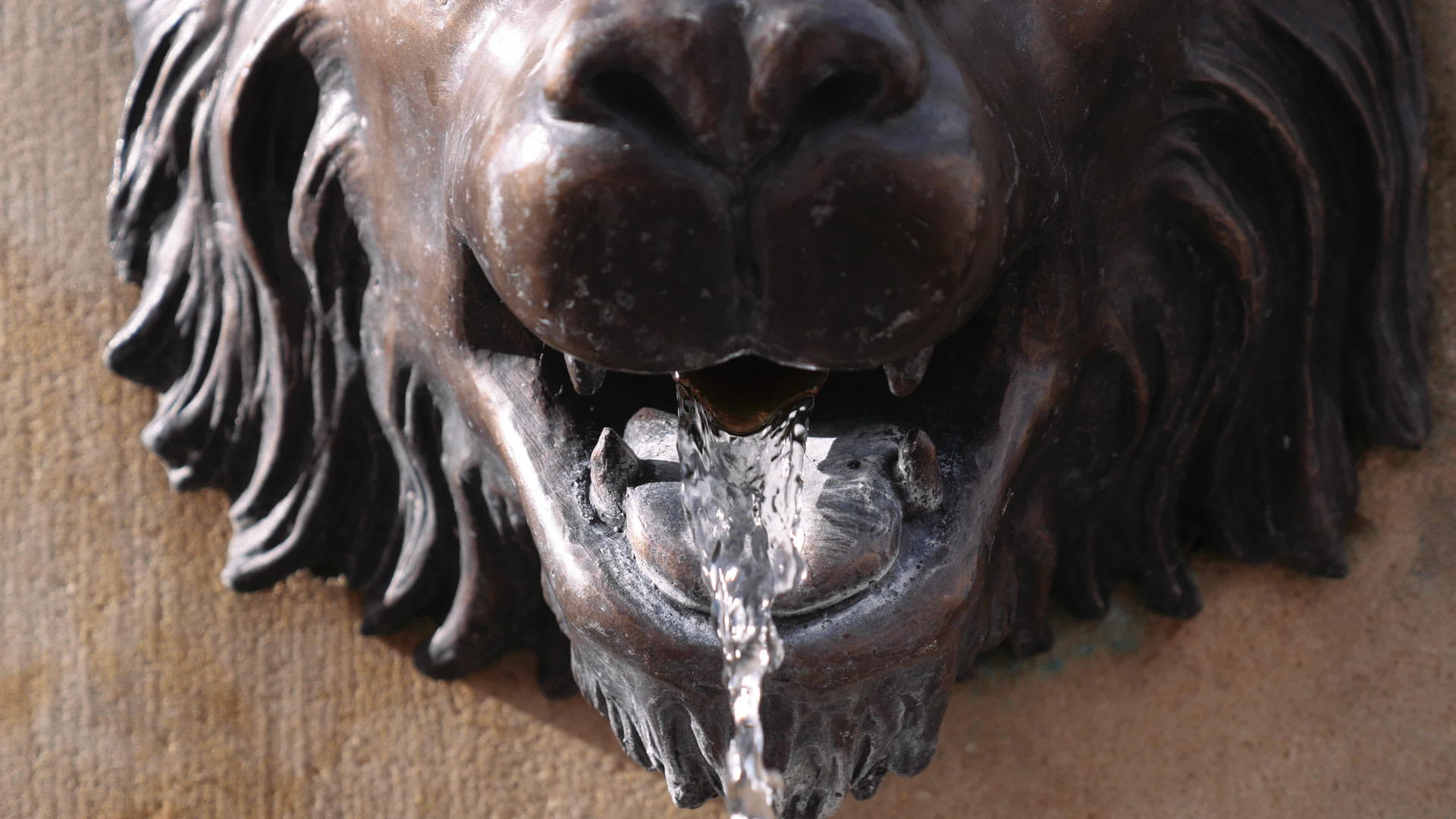 从青铜狮子嘴里流出的水视频的预览图