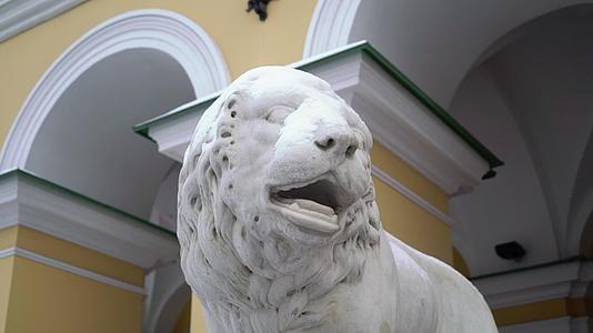冬天狮子头在宫殿附近的户外雕塑狮子视频的预览图