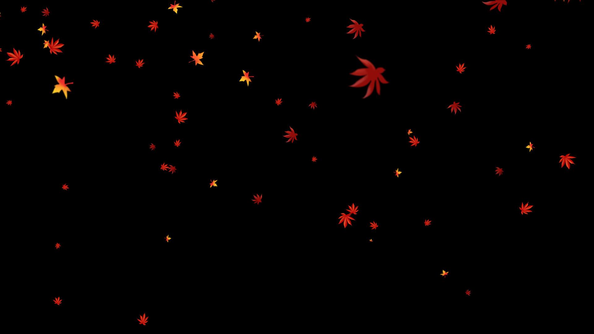 4k枫叶粒子飘落元素视频的预览图