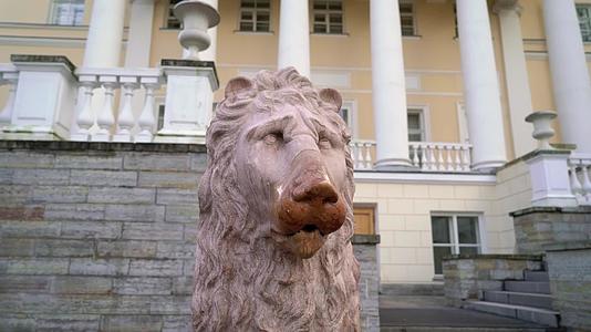 宫殿附近的狮子雕塑历史建筑婚礼宫殿视频的预览图