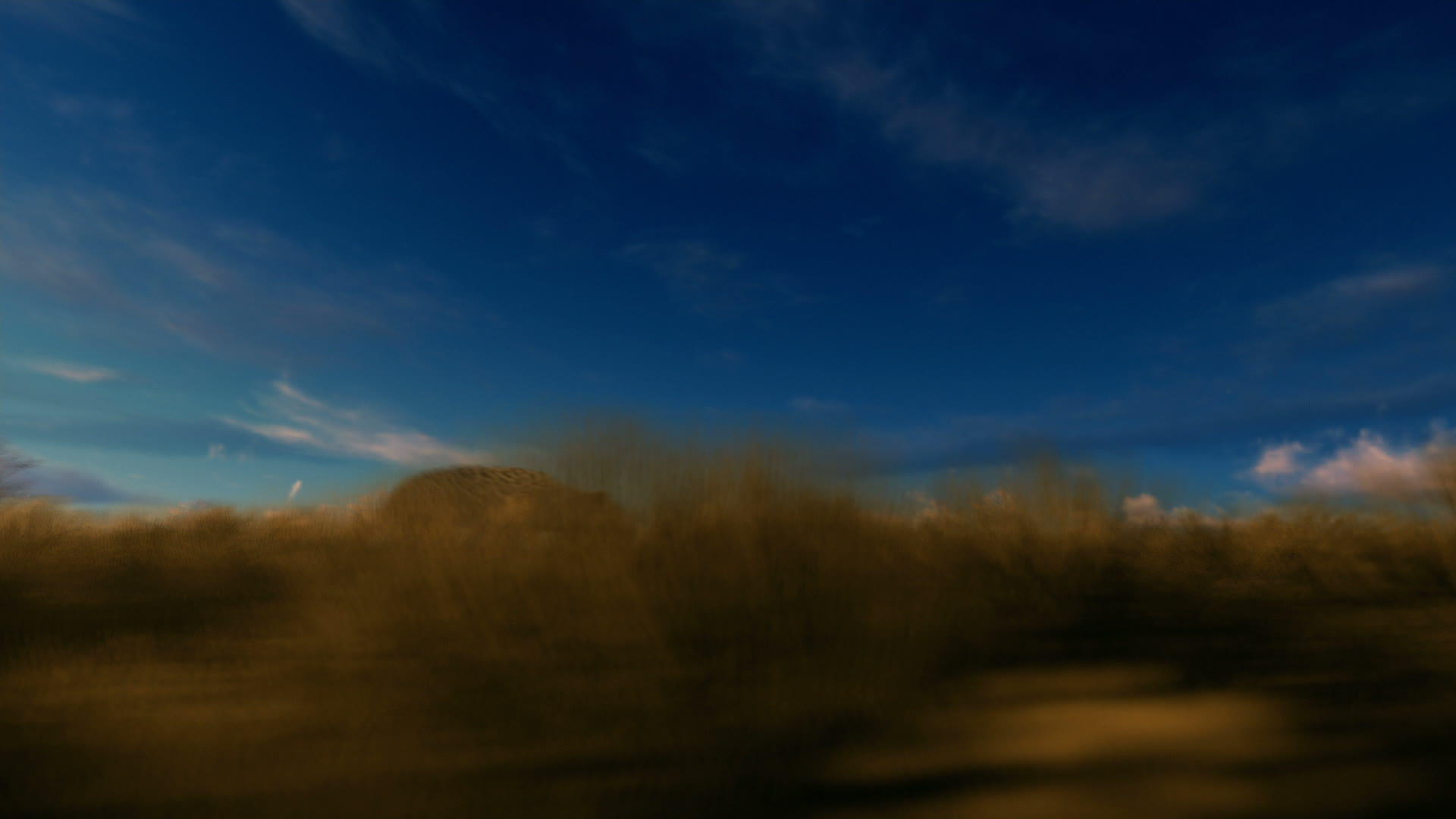 日落时在草原上奔跑的豹子视频的预览图