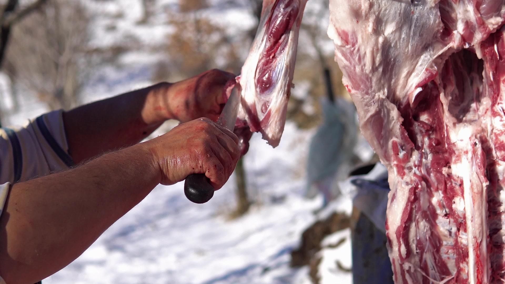 被屠宰的猪挂在钩子上头部关闭新年和圣诞节清新视频的预览图