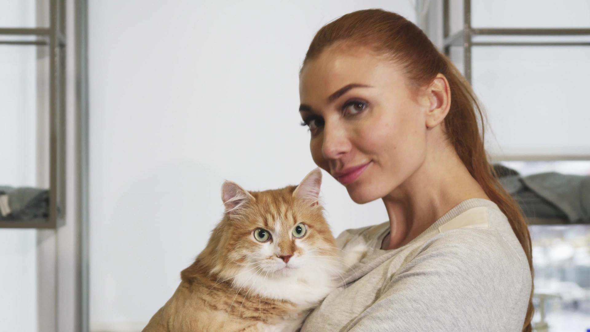 快乐美丽的女人拥抱着她华丽的姜猫视频的预览图