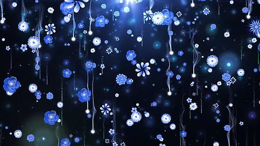 动态蓝色唯美粒子拖尾花朵下落背景视频元素视频的预览图