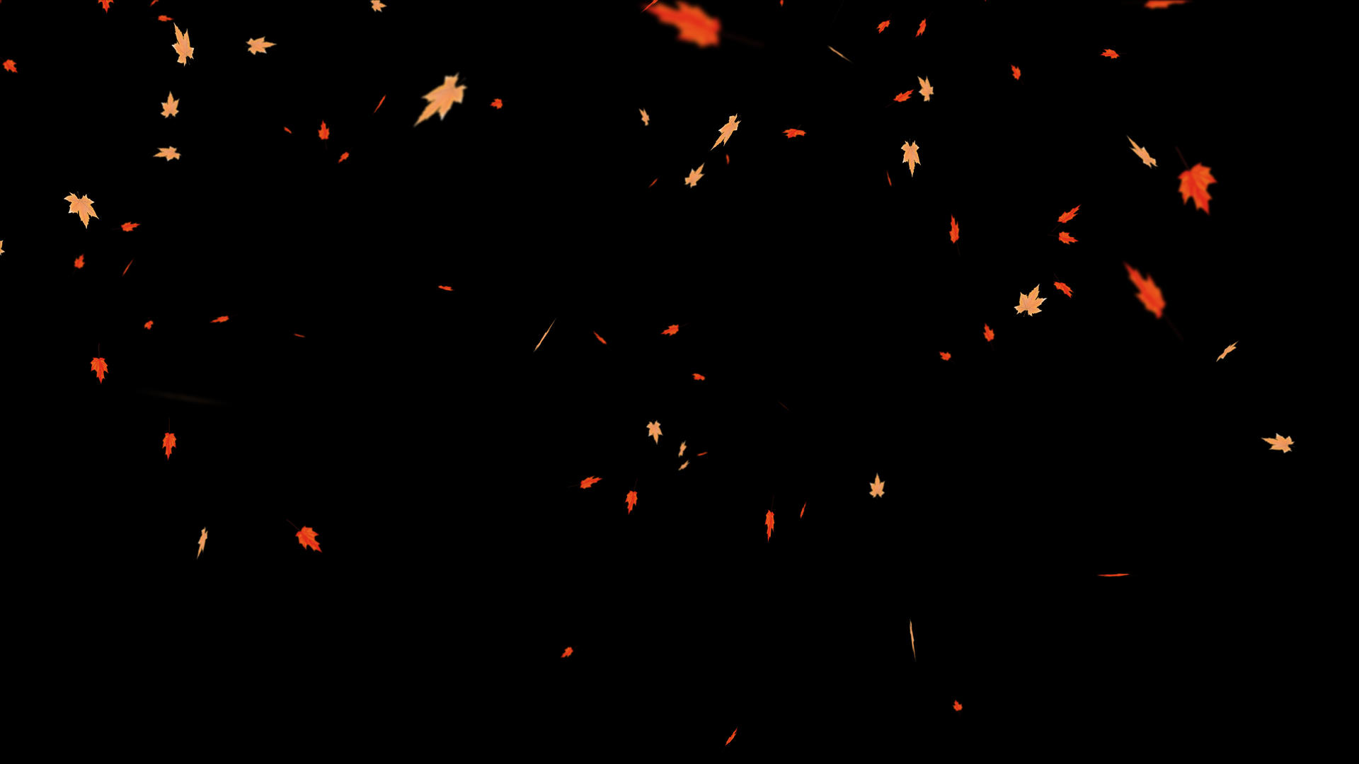 4K枫叶落叶飘落元素视频的预览图
