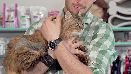 兽医诊所的主人抱着一只可爱的小猫视频的预览图