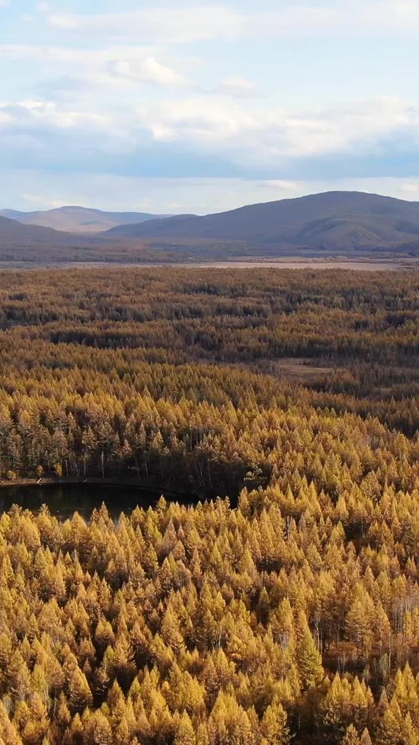 内蒙古阿尔山地池全景航拍视频的预览图